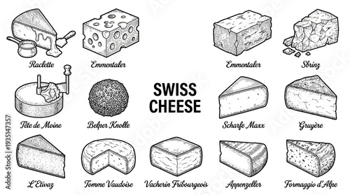 Swiss Cheese Varieties Engraving Set. Hand-Drawn Icons of Raclette, Emmentaler, Gruyère, Tête de Moine, Appenzeller, Sbrinz & more.