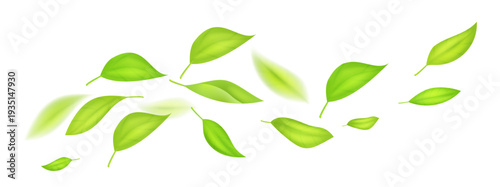 Flying Green Leaves with Motion Blur Isolated Vector Composition