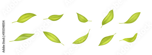 Collection of realistic green 3D leaves isolated on white background. Natural foliage vector elements for eco branding, packaging, herbal tea and fresh product design.