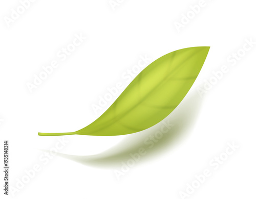 Fresh green leaf isolated on light background with realistic shadow. Clean natural vector element for eco design, organic branding and product packaging.