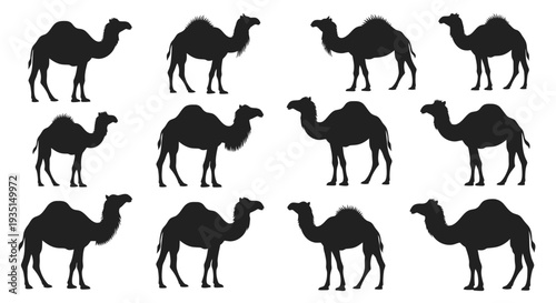 Collection of black camel silhouette icons arranged in a grid pattern, representing desert wildlife, travel, and animal motifs. Vector graphics for design