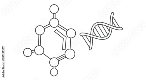 Line art illustration depicting a benzene ring and a double heliZ dna structure