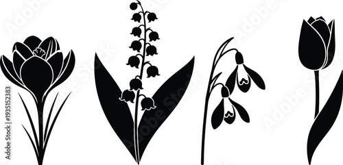 Flower Icon Set Featuring Tulips, Snowdrops, and Lilies for Spring, Nature, and Floral Decoration Graphics