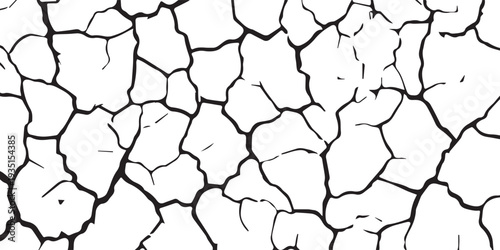 A detailed black and white illustration of a cracked surface texture, resembling dry earth or distressed paint.