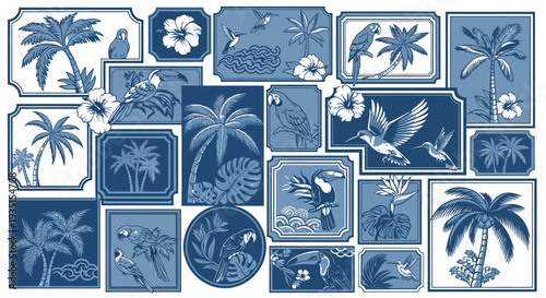 Collage of tropical elements and plants illustrations in various frames and shapes