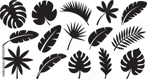 Collection of various tropical leaf silhouettes on white background for design elements