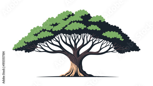 Majestic tree with a wide canopy and thick trunk stands alone, showing dense green foliage and a strong root system.