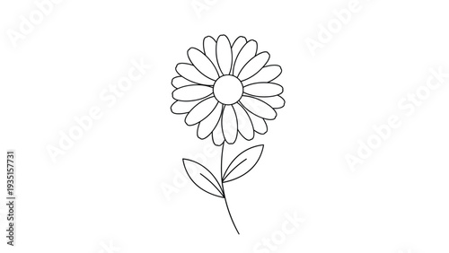 Clean black and white line drawing of a single daisy-like flower with a long stem and two leaves, presented in a minimalist and clear artistic style.