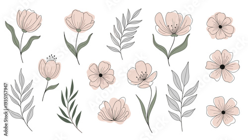 Assemblage of hand drawn floral elements with soft pink flower petals and green leaves accented by delicate dotted line textures.