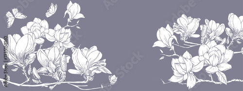 white orchid flowers  and butterfly on a gray background.eps