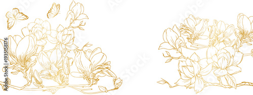 white orchid flowers  and butterfly on a transparent background