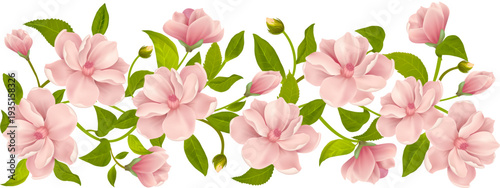 seamless continuous long pattern of pink magnolia flowers with green leaves on a transparent background, long 