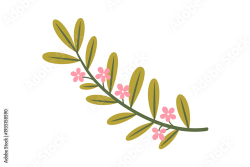 Delicate pink flowers and olive green leaves a dark green branch isolated white floral