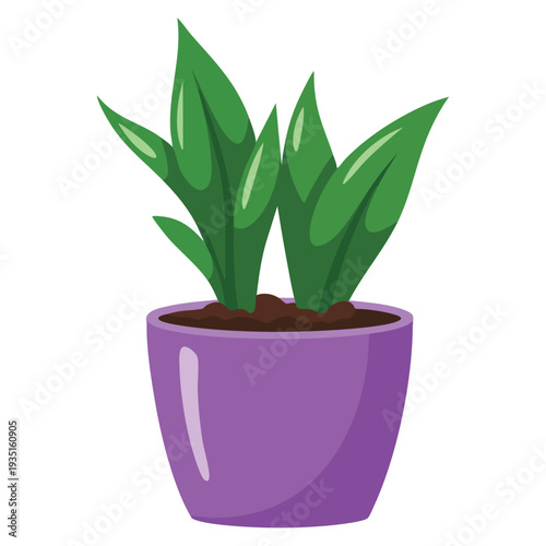 Beautiful houseplant in pot isolated decorative indoor plant illustration perfect for home decor botanical theme and natural interior design projects