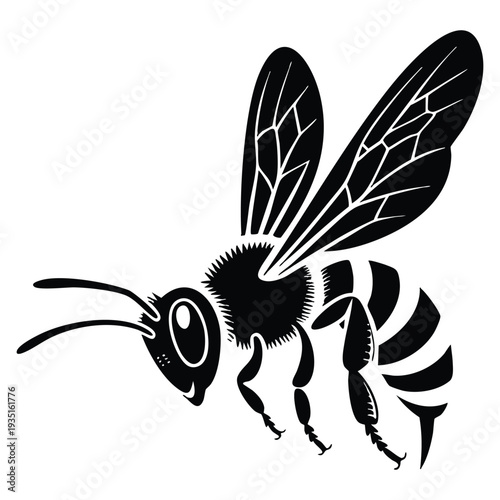 Black and white vector illustration drawing of flying wasp hornet vector image insect in flight on white background detailed nature design