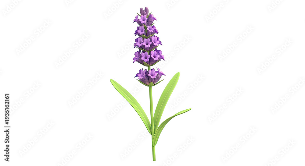 Obraz premium Single Lavender Flower with Green Leaves
