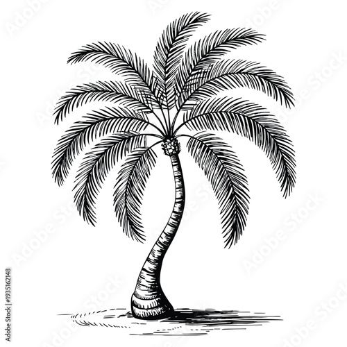 Black style palm beach tree summer rest single icon bitmap raster symbol stock illustration suitable for holiday resort tropical and travel themes