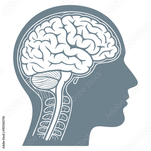 Brain icon monochrome single education icon from big school and university monochrome collection suitable for learning knowledge science and academic themes