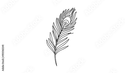 Minimal peacock feather continuous line vector illustration