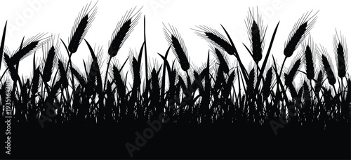 Black silhouette of a field of wheat ears for agriculture farming harvest organic bakery and nature landscape concept