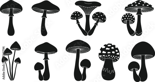 Stylized illustration of eight diverse mushroom silhouettes arranged in rows, symbolizing fungi variety, morphology, education, nature, and botanical study.