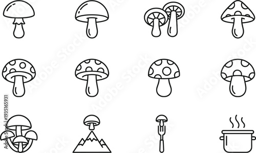 Stylized illustration of twelve diverse mushroom icons in grid layout, symbolizing fungi, culinary use, nature, education, and botanical study.
