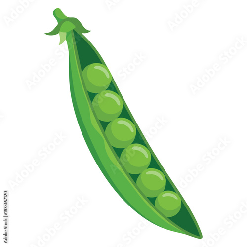 Cartoon vector peas icon featuring green plant and sweet vegetable for organic food themed design