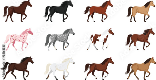 Horse Breeds Collection with Running and Standing Stallions in Various Colors Farm and Equestrian Animals Isolated Flat Vector Illustration Set