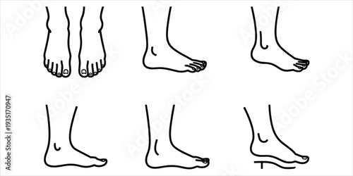 Six black line drawings of human feet in various poses Keywords: feet, human feet, foot, toes, sole, heel, arch, anatomy, body