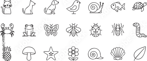 Black and white line of various animals and bird fish turtle