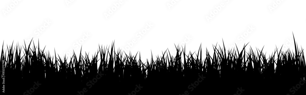Obraz premium Meadow silhouette with grass, plants on plain. Panoramic summer lawn landscape with herbs, various weeds. Herbal border, frame element. Black horizontal banners. Vector illustration