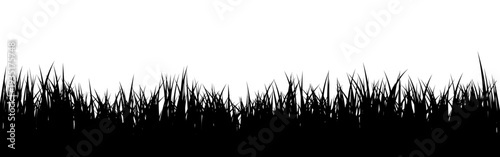 Meadow silhouette with grass, plants on plain. Panoramic summer lawn landscape with herbs, various weeds. Herbal border, frame element. Black horizontal banners. Vector illustration