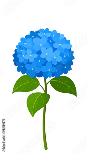 Blue hydrangea flower illustration with green stem and leaves isolated