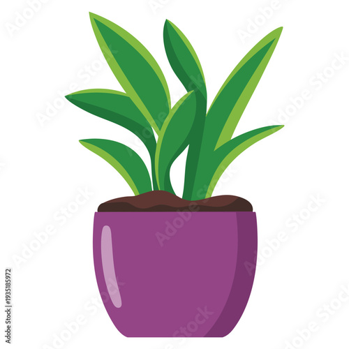 Decorative beautiful houseplant in pot illustration suitable for home decor botanical artwork and natural interior themed design concepts