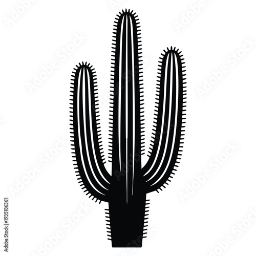 Desert succulent cactus black silhouette with spines on white background botanical illustration southwestern theme decorative design