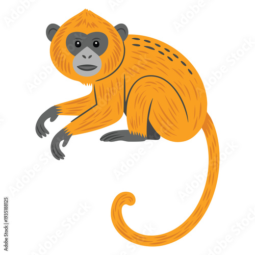 Exotic animal lion tamarin monkey vector illustration ideal for wildlife education jungle theme zoo conservation concept and tropical nature themed artwork