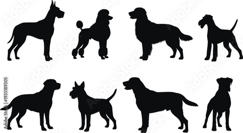 Collection of black dog silhouettes featuring various breeds like Great Dane Poodle Golden Retriever and Terrier on isolated white background