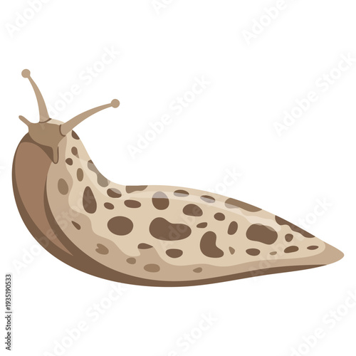 Flat vector slug illustration on white background, minimal animal character suitable for biology, garden or environmental artwork