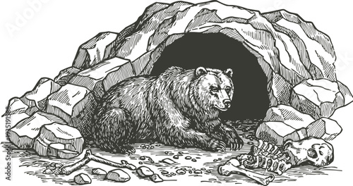 Bear lying at cave entrance surrounded by bones and skull, wildlife nature engraving illustration