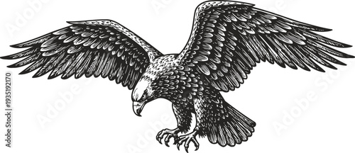 Detailed black and white eagle illustration with outstretched wings and sharp talons