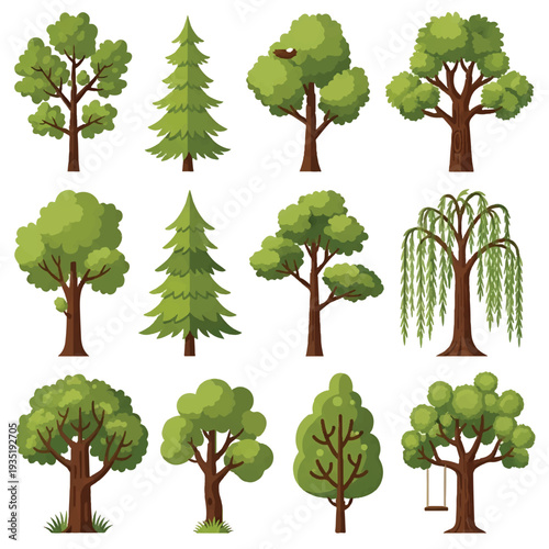 Collection of green trees in summer with different shapes and leafy branches vector illustration