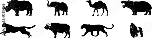 African Wild Animals Silhouette Set – Rhino, Elephant, Camel, Hippo, Lion, Gorilla Vector Collection. isolated on transparent background