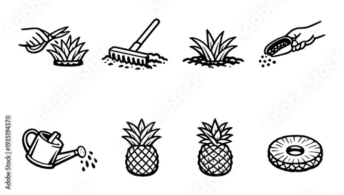 Pineapple planting and watering icons on dark background