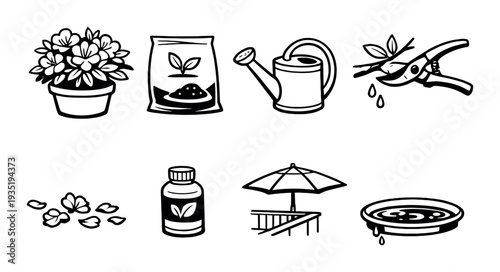 Flowering plant in pot with care items on gray backdrop