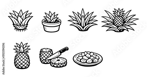 Whole pineapple and sliced rings with knife on dark backdrop