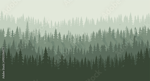 A stylized illustration showing a dense forest of evergreen trees fading into the distance, with a misty and atmospheric feel, evoking a sense of nature and tranquility.