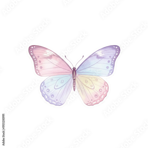 butterfly