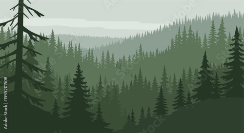 This vector illustration showcases forested hills covered with coniferous trees in shades of green, creating a peaceful and serene landscape perfect for backgrounds or graphic elements.