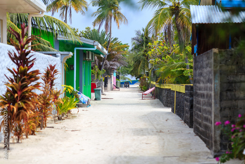 Tropical path lined with vibrant plants and palm trees