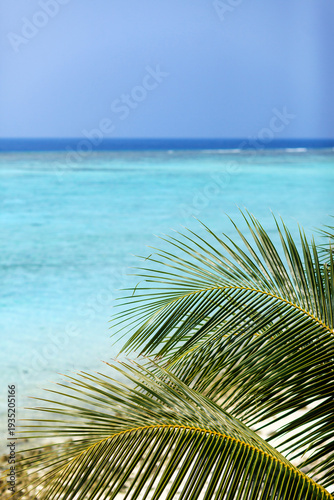 Clear blue sky meets calm turquoise ocean